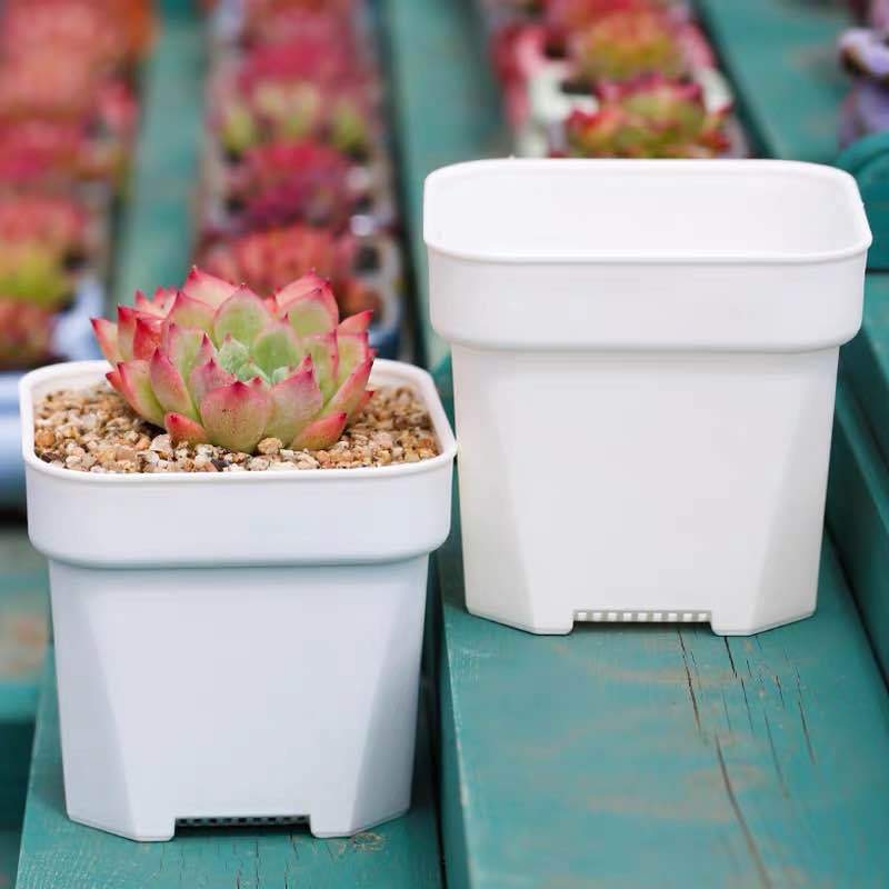 Square Extra thick Plastic Nursery Pot