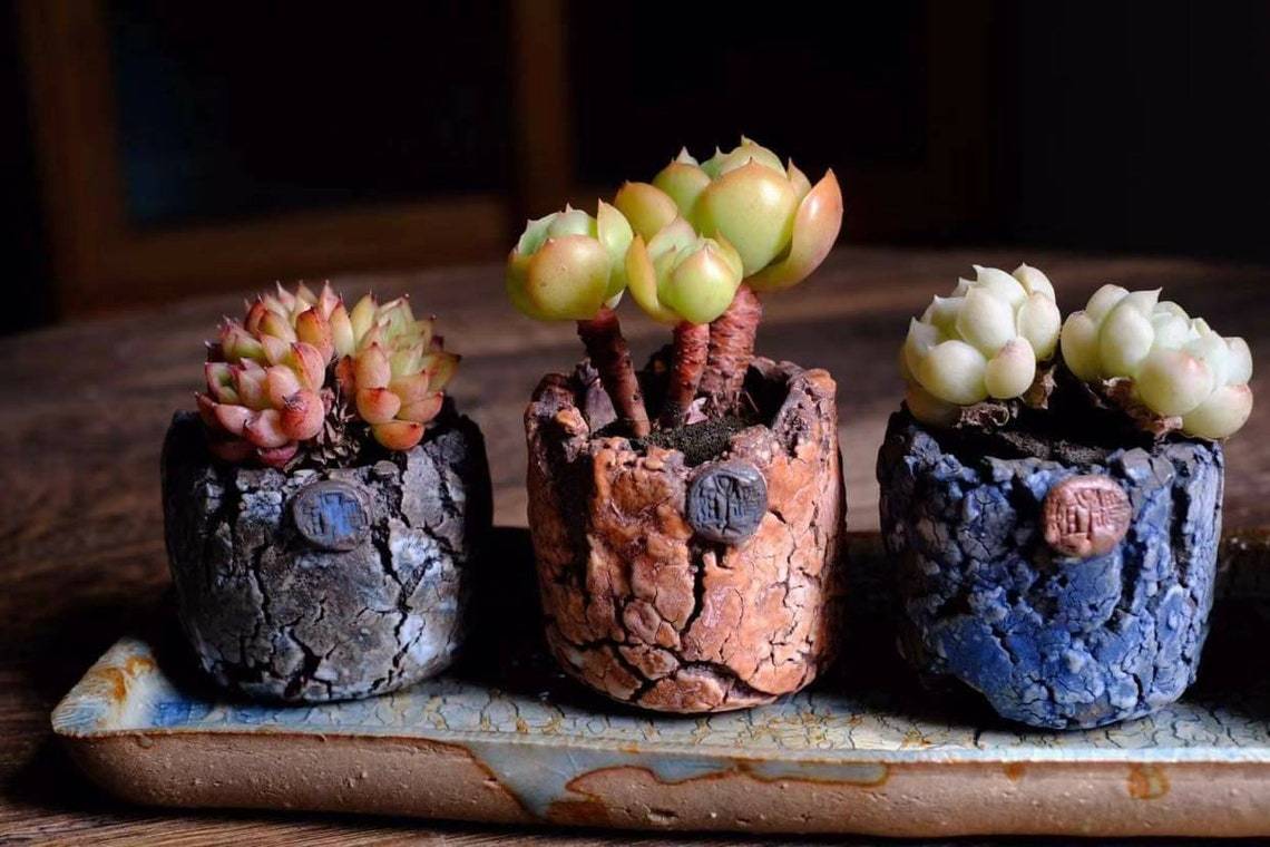 Handcrafted succulent pot - Mountain Rock series